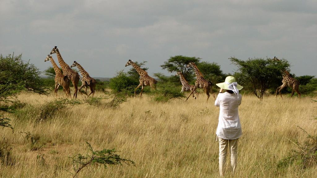 Maasai Simba Camp Hotel Amboseli Exterior foto