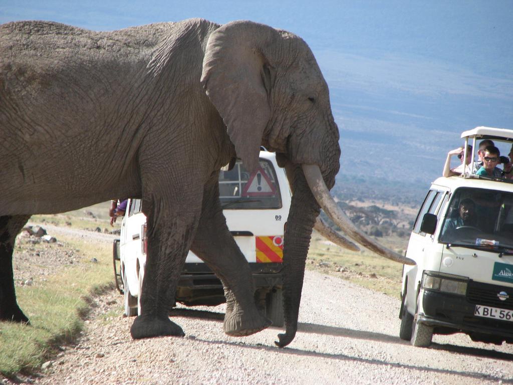 Maasai Simba Camp Hotel Amboseli Exterior foto