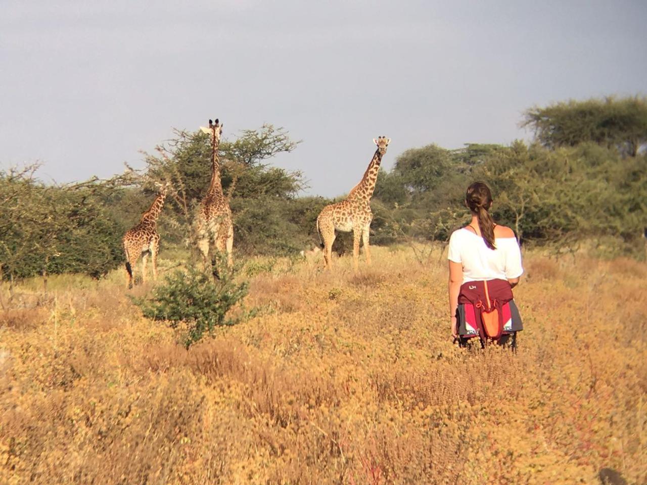 Maasai Simba Camp Hotel Amboseli Exterior foto